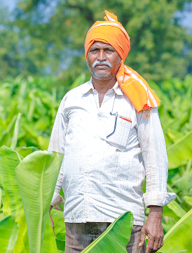 Inside our drought-resilient seed trials