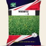 Navkar-3 (Rai)