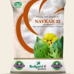 Navkar-32