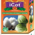 I-coat