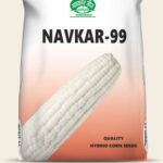Navkar-99 (White Double Cross)