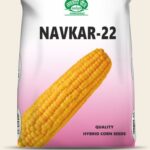 Navkar-22 (Yellow Double Cross)