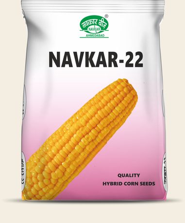 Navkar-22 (Yellow Double Cross)