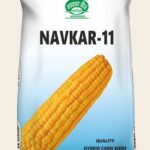 Navkar-11 (Yellow Single Cross)
