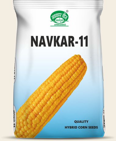 Navkar-11 (Yellow Single Cross)