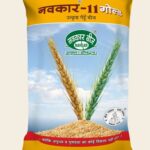 Navkar-11 Gold