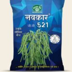 Navkar-521 (Green)