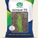 Navkar-75 (Green)