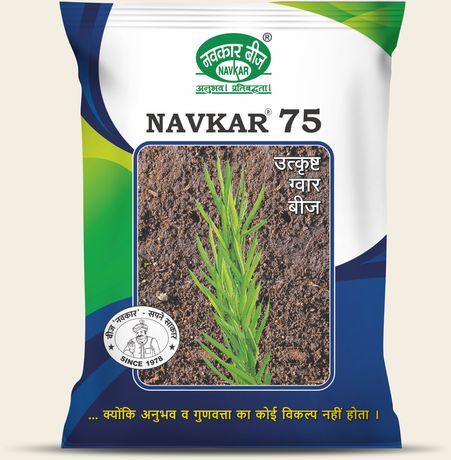 Navkar-75 (Green)