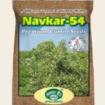 Navkar-54